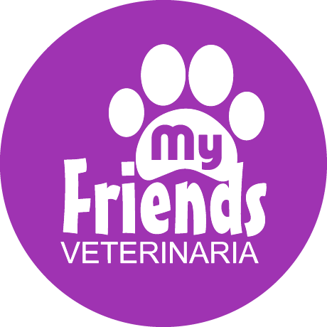 cropped PRINCIPAL.png