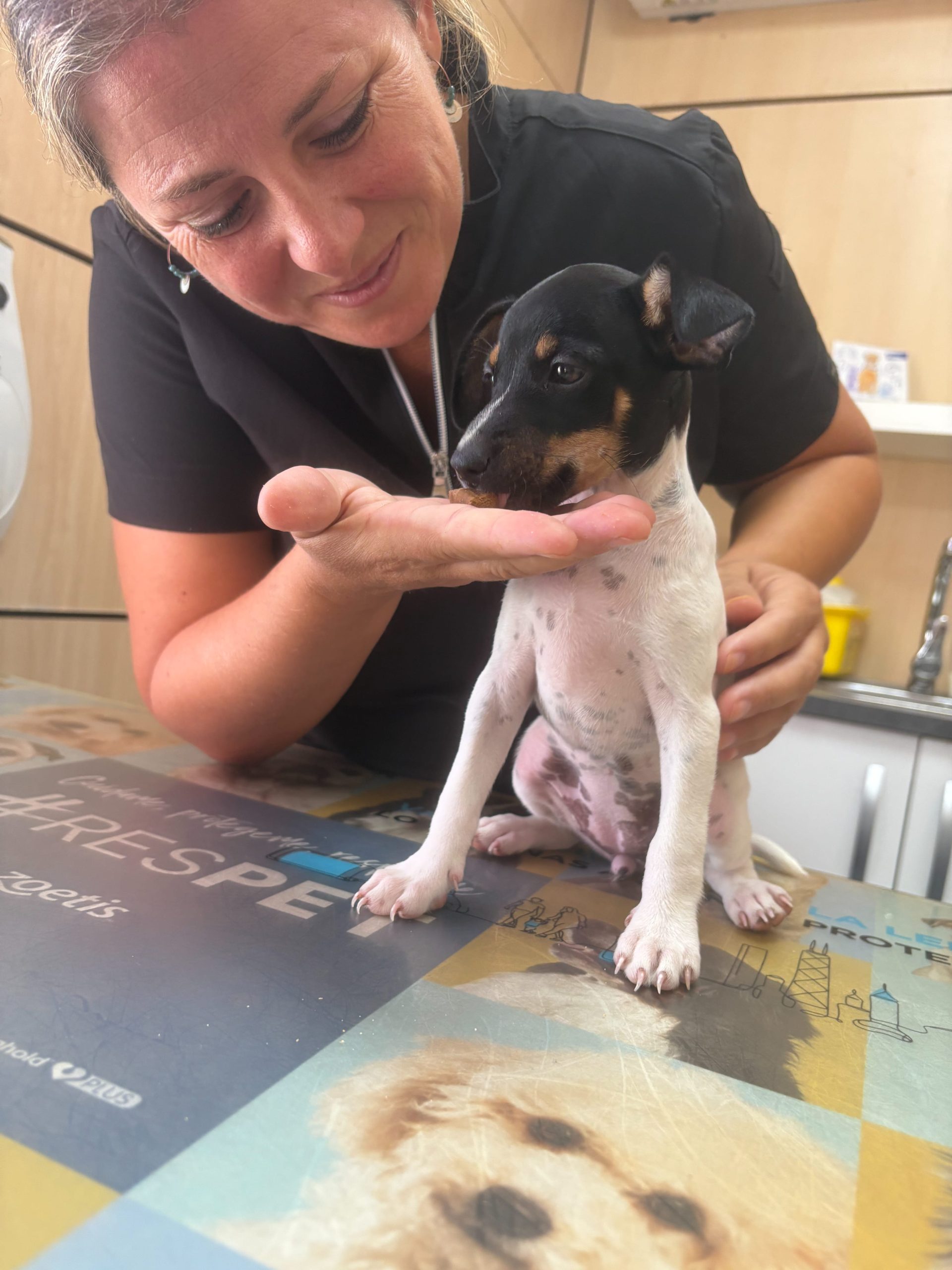 3ea8dae5a4fc5cda35282e308cd9d60d1e3b9609 (2) (1)